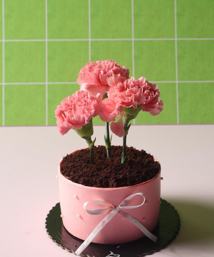 Mother day specail